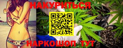 крисы Ливны