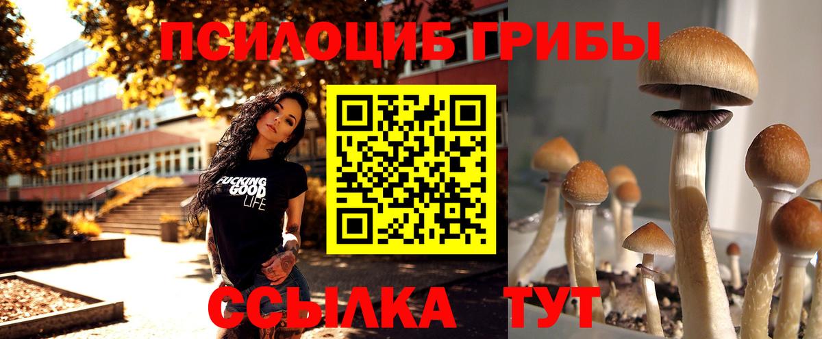 Галлюциногенные грибы мицелий  Вход с VPN  Псилоцибиновые грибы мицелий  Елизово 